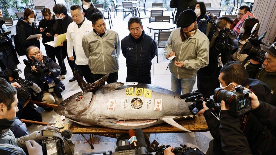 Japanische Thunfisch-Auktion