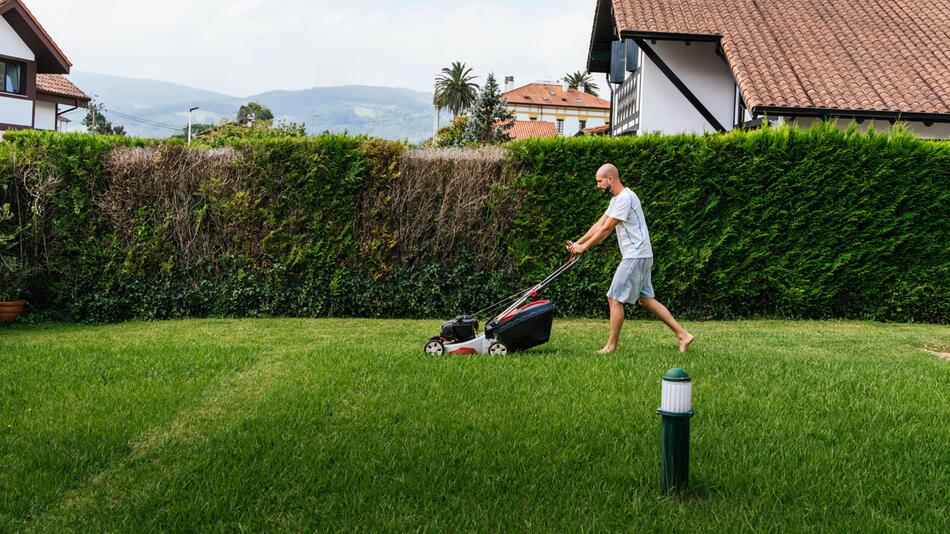 Rasenmäher, Rasenmähen, Garten