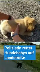 Polizistin hat ein Herz für Hundebabys