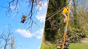 Acht Meter in der Luft: Feuerwehr rettet Gleitschirmflieger aus Baumkrone