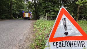 Feuerwehr bei Waldbrand-Einsatz
