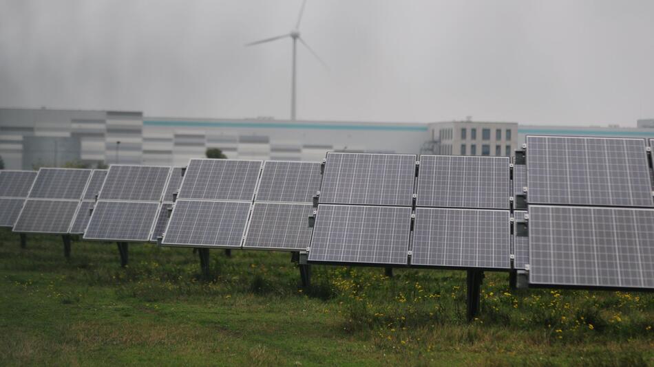 Solarmodule in Bitterfeld-Wolfen