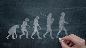 Evolution