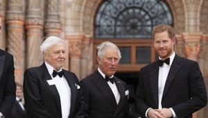 Prinz Harry mit Vater Charles und David Attenborough (li.) im Jahr 2019.