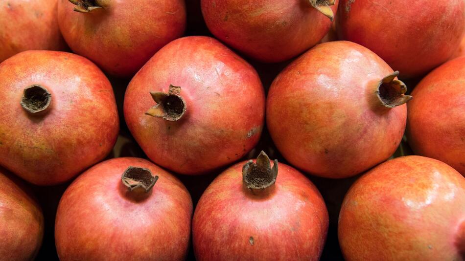 Granatäpfel sind auf der Messe Fruit Logistica zu sehen