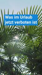 Das ist im Urlaub jetzt verboten