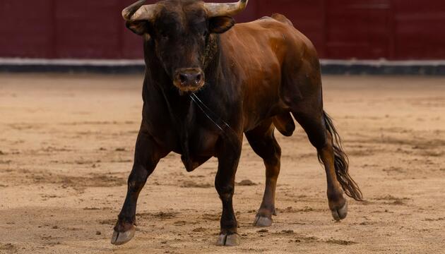 Stierkampf in Spanien