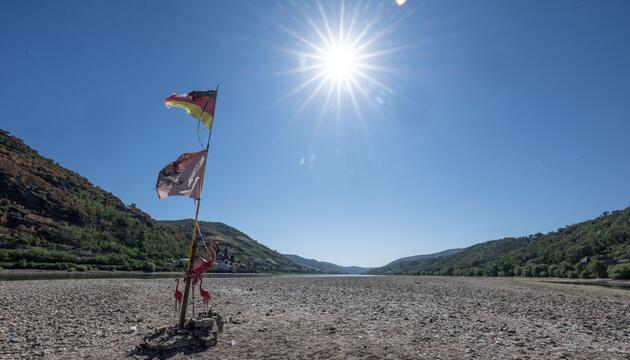 Dürre am Mittelrhein