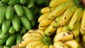 Grüne und gelbe Bananen, teilweise mit braunen Flecken, in großen Bündeln dicht nebeneinander ...