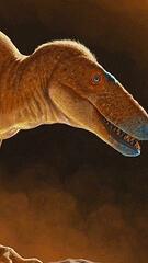T-Rex-Vorfahre: Forscher entdecken neue Dinosaurierart