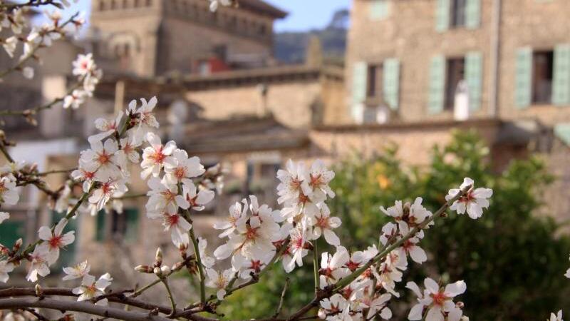 In Valldemossa