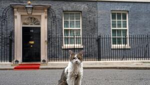 Kater Larry