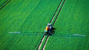 Pflanzenschutz auf Rapsfeld