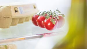 Tomaten im Kühlschrank