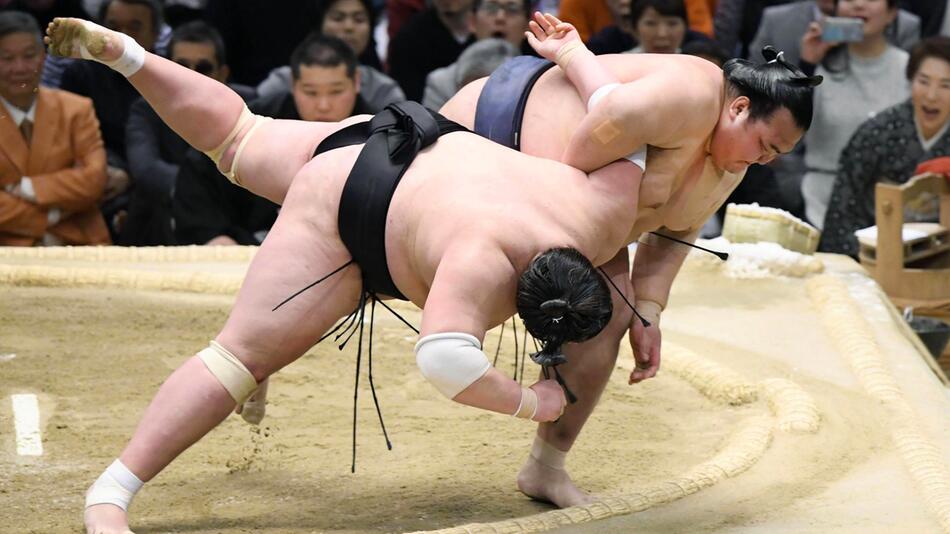 Japans Sumo-Ringer werden immer schwerer - Gesundheitsprobleme