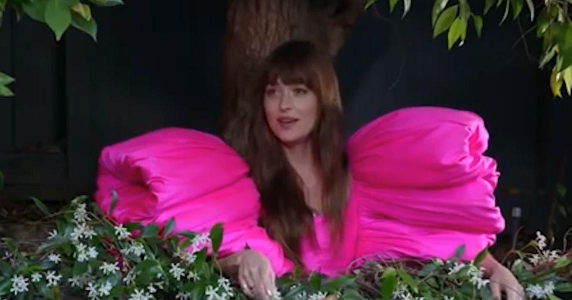 Schräges Zaun Interview Jimmy Kimmel Plaudert Mit Nachbarin Dakota Johnson Gmxat 