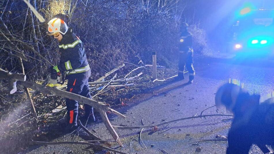 Einsatzkräfte der Wiener Berufsfeuerwehr beseitigen Sturmschäden