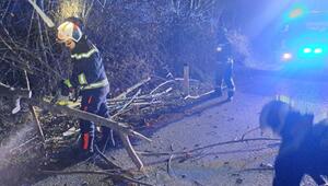 Einsatzkräfte der Wiener Berufsfeuerwehr beseitigen Sturmschäden