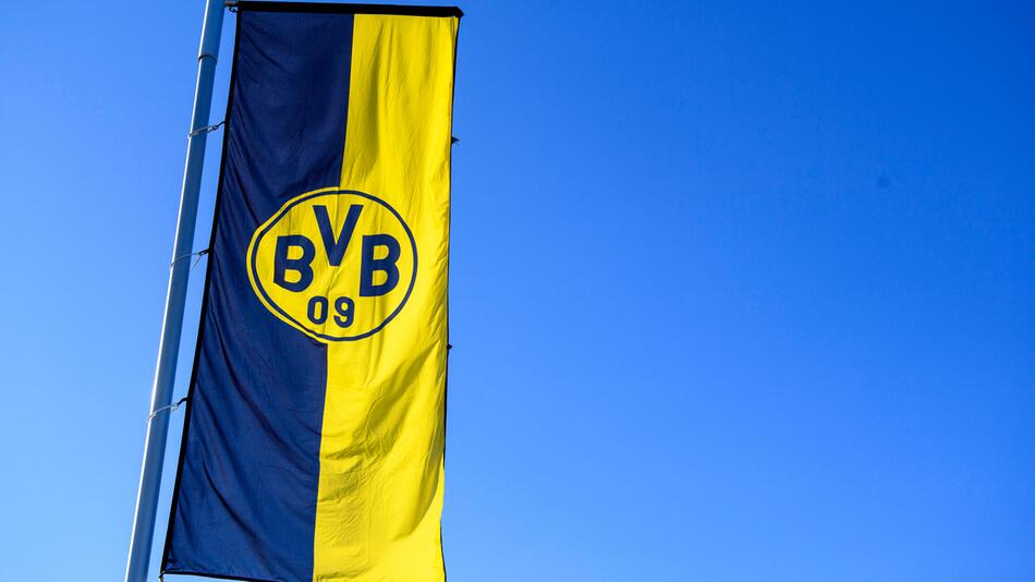 BVB 09, Logo, Fahne