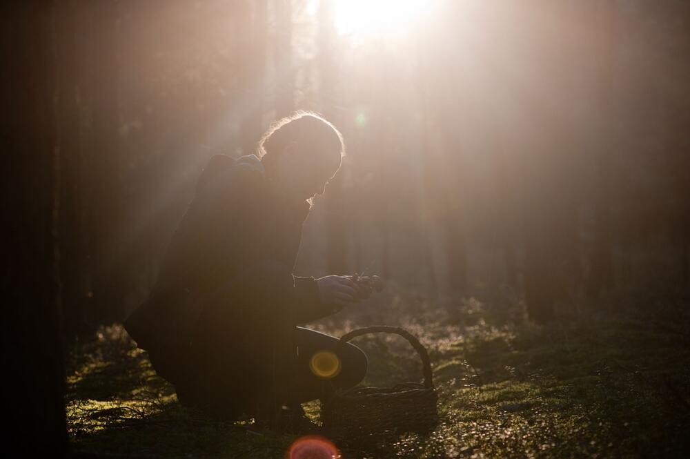 Frau sammelt Pilze im Wald