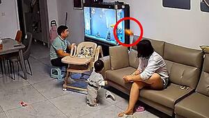 Sprung aufs Sofa: Fisch schockt Familie in China