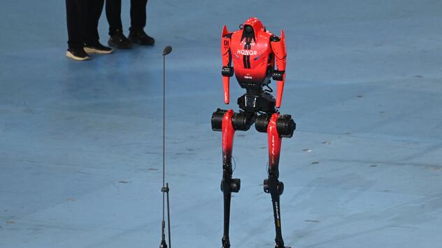 World Humanoid Robot Games