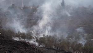 Waldbrände bei Jerusalem unter Kontrolle