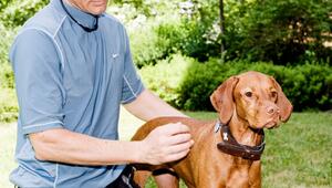 Ein Mann streichelt seinen Hund