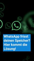 Mehr Speicher, weniger Chaos: So bringst du WhatsApp unter Kontrolle