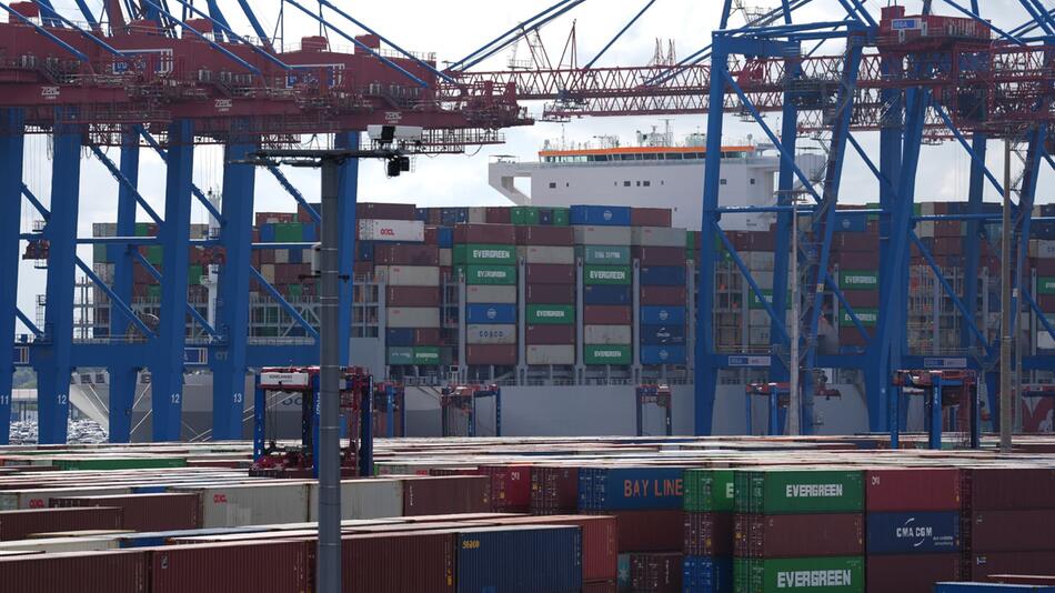 Container Terminal Tollerort im Hamburger Hafen