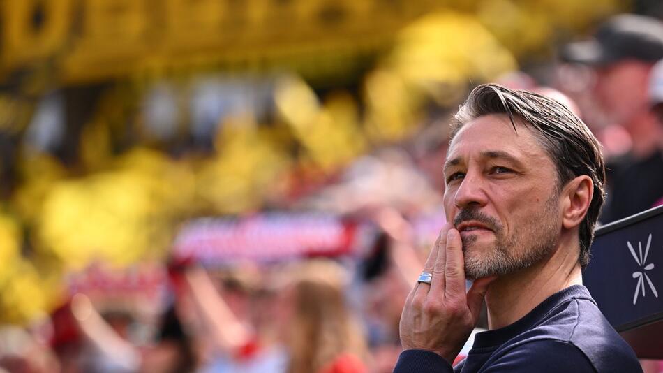 Bayer Leverkusen - Borussia Dortmund