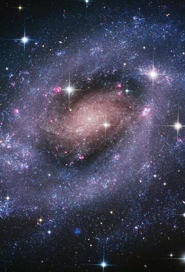 Spiralgalaxie NGC 300