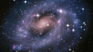 Spiralgalaxie NGC 300