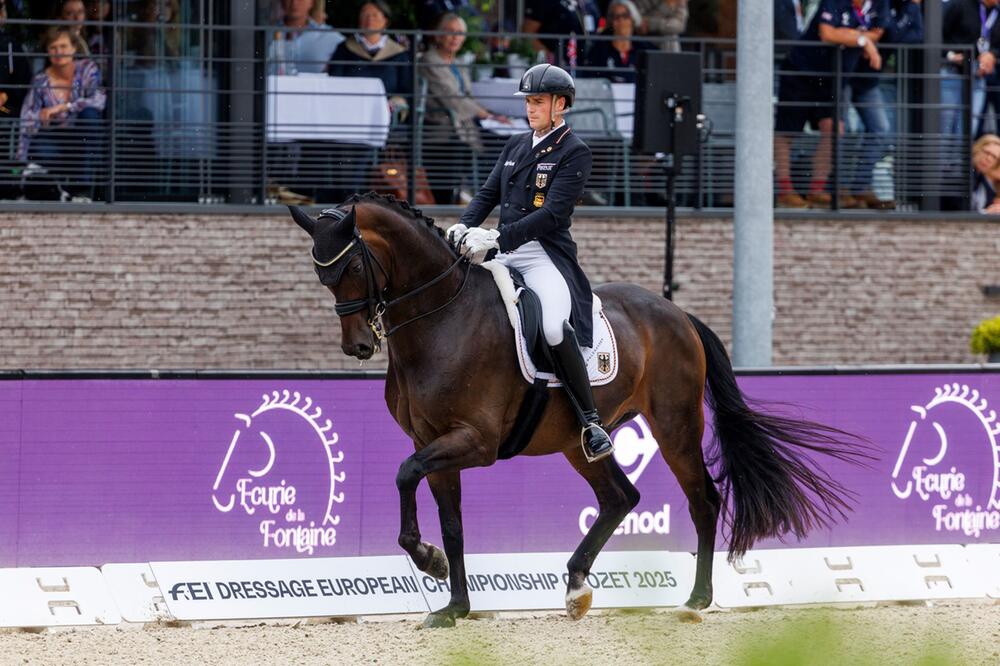 Pferdesport/Dressur: Europameisterschaft