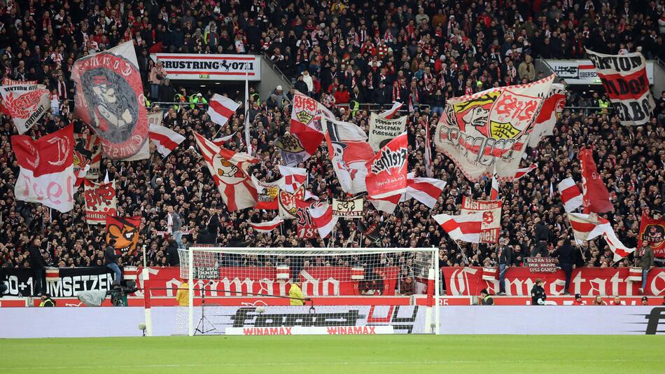 VfB Stuttgart, Champions League, Fußball, Belgrad