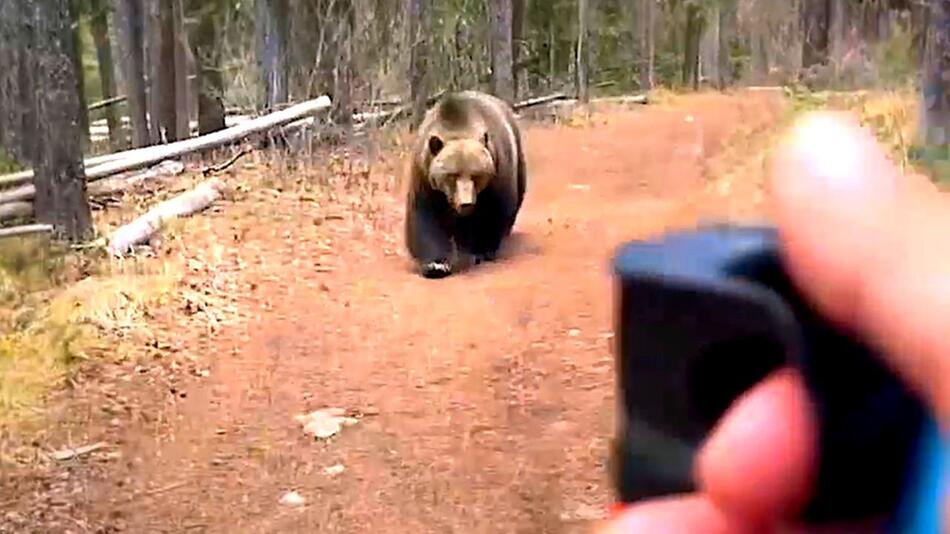 Bange zehn Minuten: Grizzly jagt Wanderer in Kanada