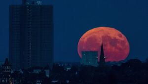 Erdbeermond