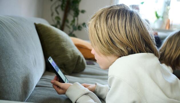 Social-Media-Nutzung