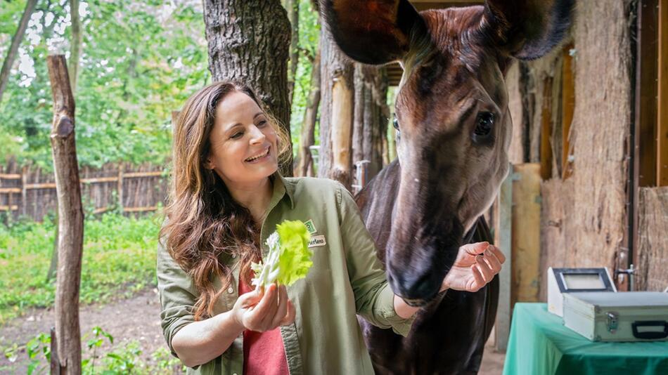 Die ARD-Serie "Tierärztin Dr. Mertens" mit Elisabeth Lanz startet in die neue Staffel.