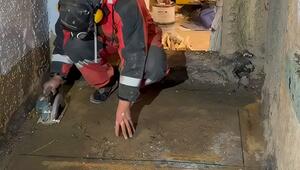 Denkfehler mit Folgen: Bauarbeiter sägt Loch in den Boden – und steht mittendrin