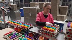 34.000 Eier pro Stunde: Hochsaison für Osterhasen-Helfer