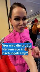 Wer wird die größte Nervensäge im Dschungelcamp?