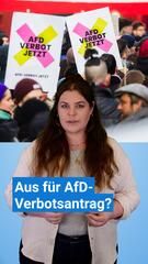 AfD-Verbotsantrag gescheitert?