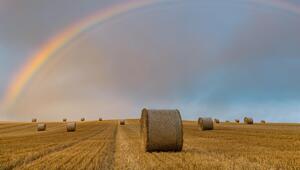 Feld mit Strohballen und Regenbogen