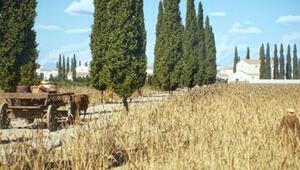 Römisches Straßennetz war weit größer als gedacht