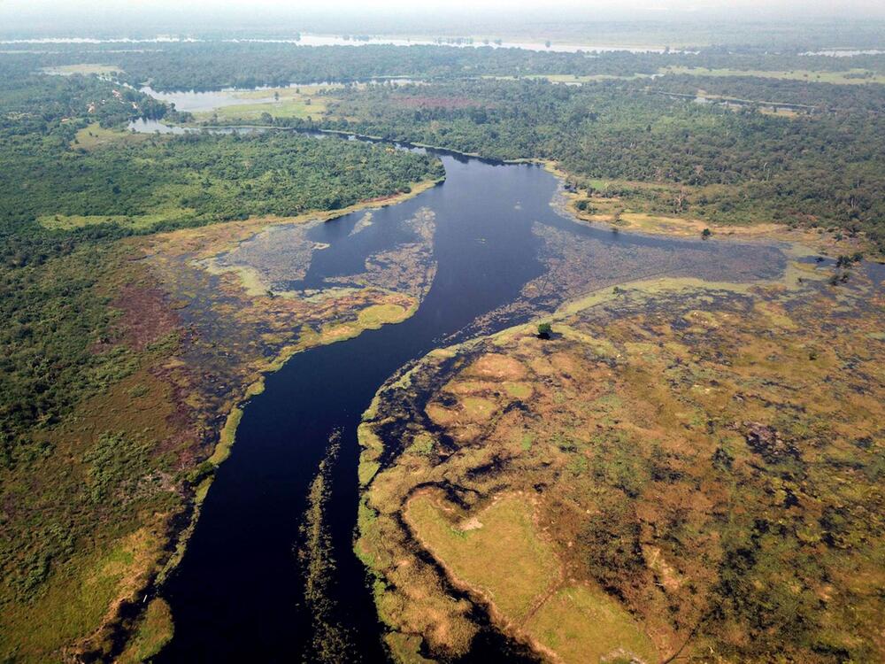 Studie: Schwarzer Fluss in Afrika ist schwärzer als der Rio Negro