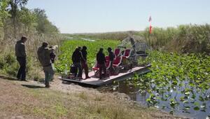 Trockenheit in den Everglades