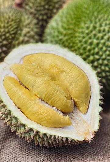 Durian-Frucht