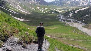 Blick auf die Greina