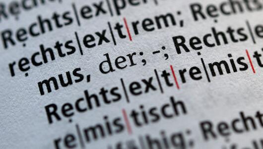 Rechtsextremismus in einem Wörterbuch